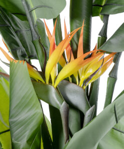 GloboStar® Artificial Garden BANANA STRELITZIA REGINAE 20381 - Τεχνητό Διακοσμητικό Φυτό Μπανανιά - Στρελίτσια - Πουλί του Παραδείσου Υ230cm 12 20381 4