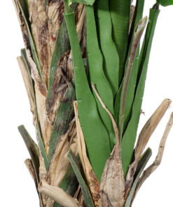 GloboStar® Artificial Garden BANANA STRELITZIA REGINAE 20381 - Τεχνητό Διακοσμητικό Φυτό Μπανανιά - Στρελίτσια - Πουλί του Παραδείσου Υ230cm 13 20381 5