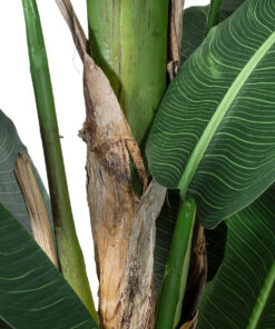 GloboStar® Artificial Garden BANANA TREE 20382 - Τεχνητό Διακοσμητικό Φυτό Μπανανιά Υ300cm 12 20382 4