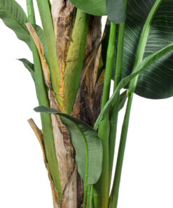 GloboStar® Artificial Garden BANANA TREE 20382 - Τεχνητό Διακοσμητικό Φυτό Μπανανιά Υ300cm 13 20382 5