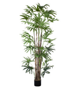 GloboStar® GloboStar® Artificial Garden BROADLEAF LADY PALM TREE 20384 Τεχνητό Διακοσμητικό Φυτό Πλατύφυλλος Φοίνικας Μπαμπού Υ300cm