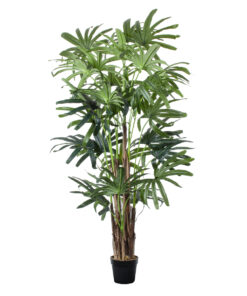 GloboStar® GloboStar® Artificial Garden BROADLEAF LADY PALM TREE 20385 Τεχνητό Διακοσμητικό Φυτό Πλατύφυλλος Φοίνικας Μπαμπού Υ200cm