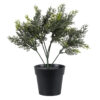 GloboStar® Artificial Garden LEMON CYPRESS 20389 Τεχνητό Διακοσμητικό Φυτό Λεμονόκυπάρισσο Υ30cm 1 GloboStar® GloboStar® Artificial Garden LEMON CYPRESS 20389 Τεχνητό Διακοσμητικό Φυτό Λεμονόκυπάρισσο Υ30cm