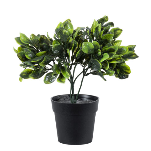 GloboStar® GloboStar® Artificial Garden ANUBIA BARTERI 20390 Τεχνητό Διακοσμητικό Φυτό Ανούμπια Υ30cm