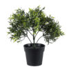 GloboStar® GloboStar® Artificial Garden BABY BAMBOO 20391 Τεχνητό Διακοσμητικό Φυτό Μικρό Μπαμπού Υ30cm