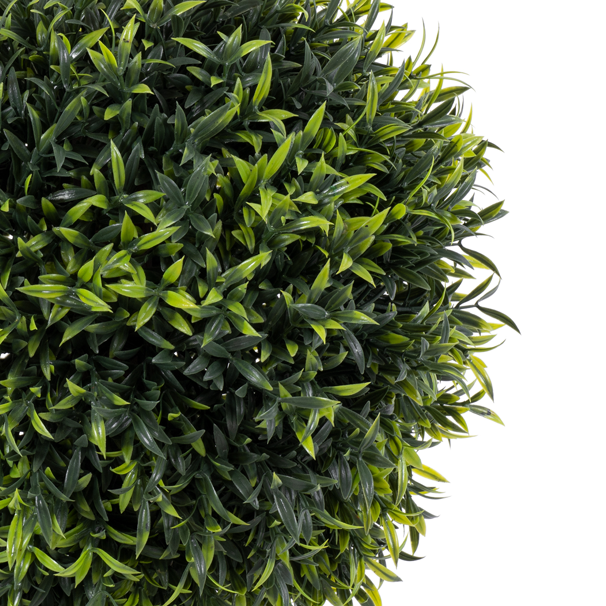 GloboStar® Artificial Garden MYRTUS 20398 Τεχνητό Διακοσμητικό Φυτό Φίκος Μυρτιά Υ60cm 4 GloboStar® Artificial Garden MYRTUS 20398 Τεχνητό Διακοσμητικό Φυτό Φίκος Μυρτιά Υ60cm - Image 2