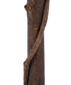 GloboStar® Artificial Garden MYRTUS 20398 Τεχνητό Διακοσμητικό Φυτό Φίκος Μυρτιά Υ60cm 11 20398 4