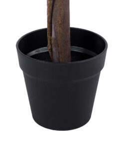 GloboStar® Artificial Garden MYRTUS 20398 Τεχνητό Διακοσμητικό Φυτό Φίκος Μυρτιά Υ60cm 12 20398 5