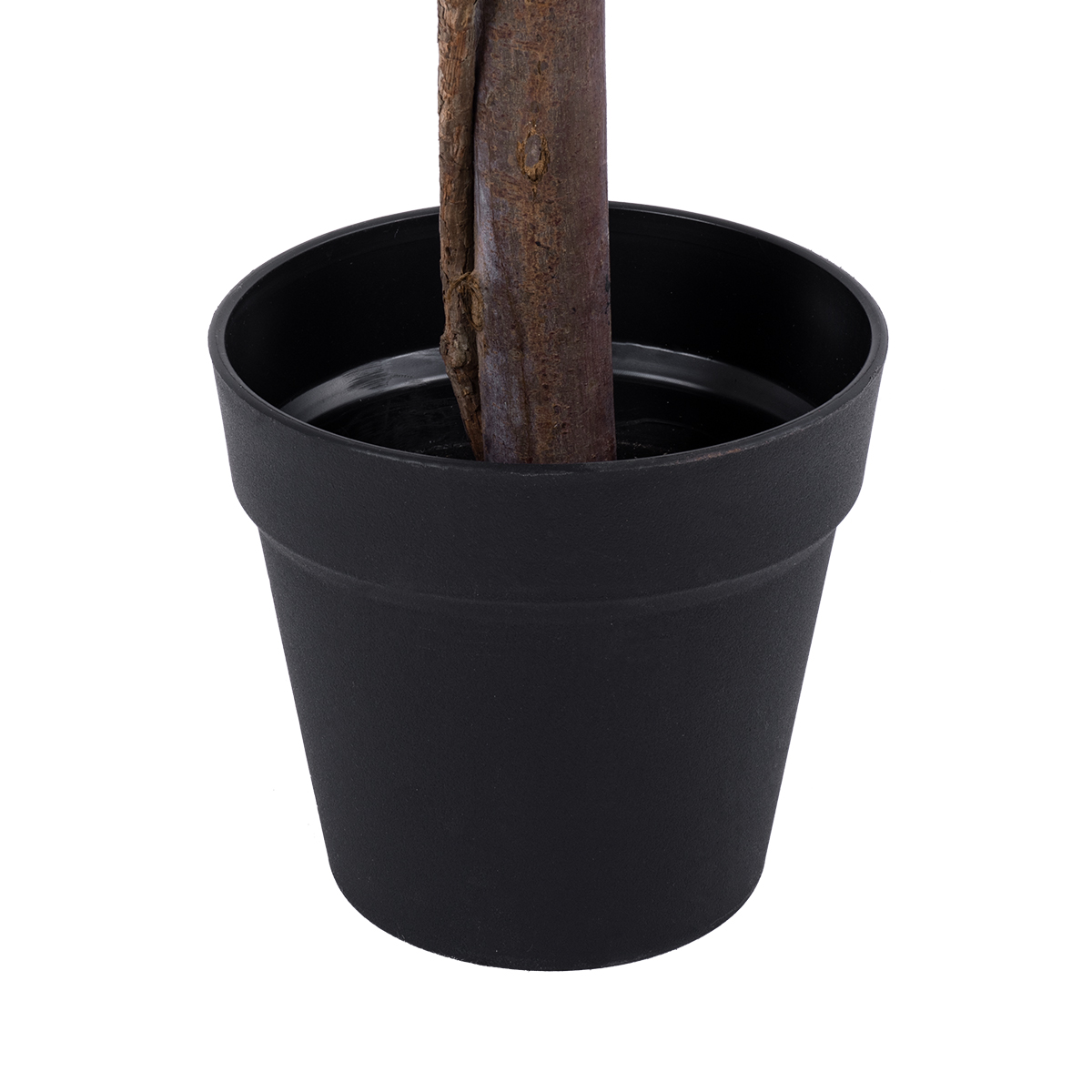 GloboStar® Artificial Garden MYRTUS 20398 Τεχνητό Διακοσμητικό Φυτό Φίκος Μυρτιά Υ60cm 6 GloboStar® Artificial Garden MYRTUS 20398 Τεχνητό Διακοσμητικό Φυτό Φίκος Μυρτιά Υ60cm - Image 4