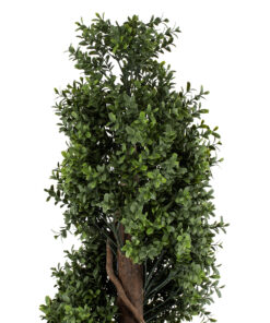 Alternative view of GloboStar® Artificial Garden BUXUS SPIRAL 20401 Τεχνητό Διακοσμητικό Φυτό Σπιράλ Πυξός Υ150cm
