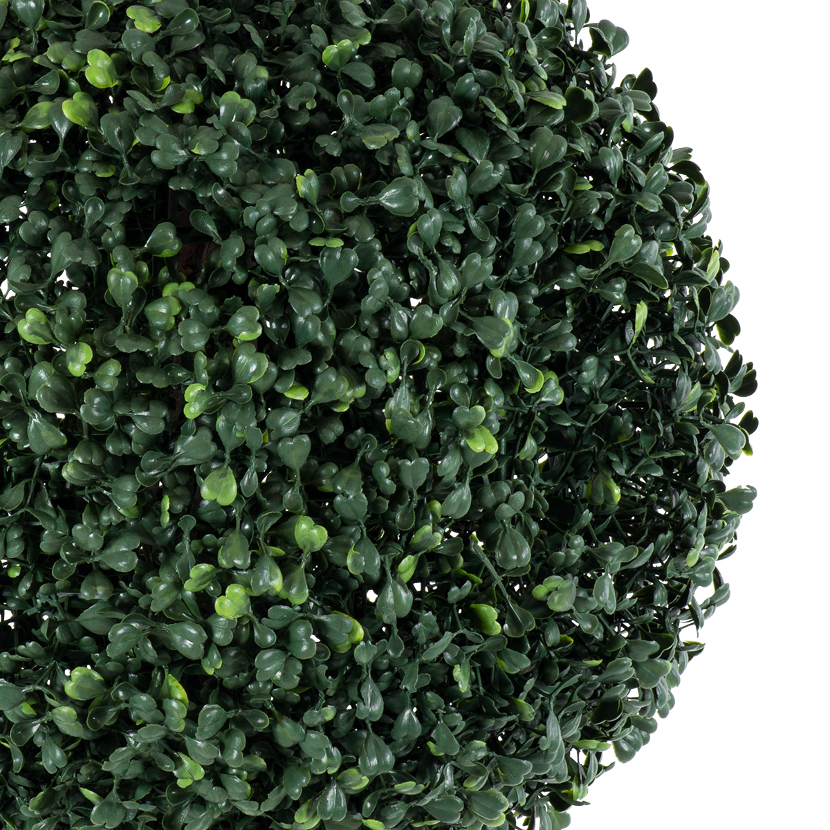 GloboStar® Artificial Garden BUXUS 20407 Τεχνητό Διακοσμητικό Φυτό Πυξός Υ120cm 4 GloboStar® Artificial Garden BUXUS 20407 Τεχνητό Διακοσμητικό Φυτό Πυξός Υ120cm - Image 2
