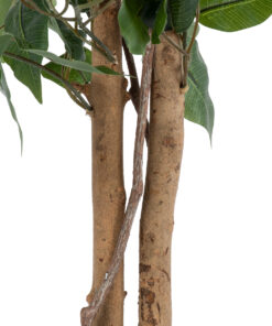 GloboStar® Artificial Garden FICUS BENJAMINA TREE 20415 Τεχνητό Διακοσμητικό Φυτό Φίκος Μπενζαμίνη Υ120cm 11 20415 4