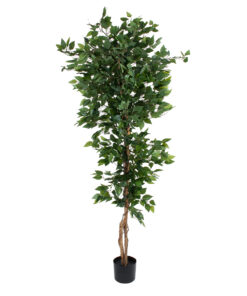 GloboStar® GloboStar® Artificial Garden FICUS BENJAMINA TREE 20416 Τεχνητό Διακοσμητικό Φυτό Φίκος Μπενζαμίνη Υ180cm