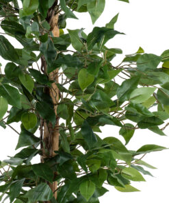 GloboStar® Artificial Garden FICUS BENJAMINA TREE 20416 Τεχνητό Διακοσμητικό Φυτό Φίκος Μπενζαμίνη Υ180cm 10 20416 3