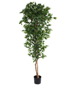 GloboStar® GloboStar® Artificial Garden FICUS BENJAMINA TREE 20417 Τεχνητό Διακοσμητικό Φυτό Φίκος Μπενζαμίνη Υ210cm