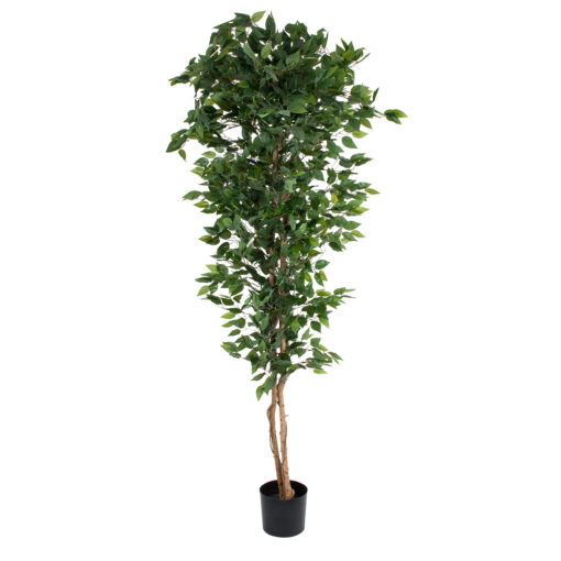 GloboStar® GloboStar® Artificial Garden FICUS BENJAMINA TREE 20417 Τεχνητό Διακοσμητικό Φυτό Φίκος Μπενζαμίνη Υ210cm