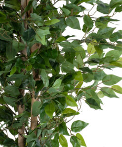 Alternative view of GloboStar® Artificial Garden FICUS BENJAMINA TREE 20417 Τεχνητό Διακοσμητικό Φυτό Φίκος Μπενζαμίνη Υ210cm