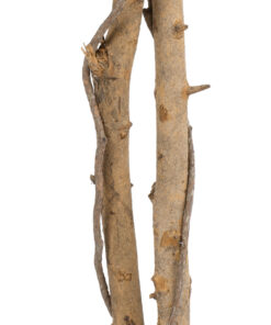 GloboStar® Artificial Garden FICUS BENJAMINA TREE 20417 Τεχνητό Διακοσμητικό Φυτό Φίκος Μπενζαμίνη Υ210cm 11 20417 4