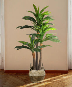 GloboStar® Artificial Garden DRACAENA YUCCA 20422 - Τεχνητό Διακοσμητικό Φυτό Δράκαινα Γιούκα Υ120cm 15 20422 20317