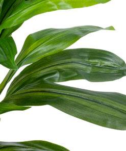 Alternative view of GloboStar® Artificial Garden DRACAENA YUCCA 20422 - Τεχνητό Διακοσμητικό Φυτό Δράκαινα Γιούκα Υ120cm