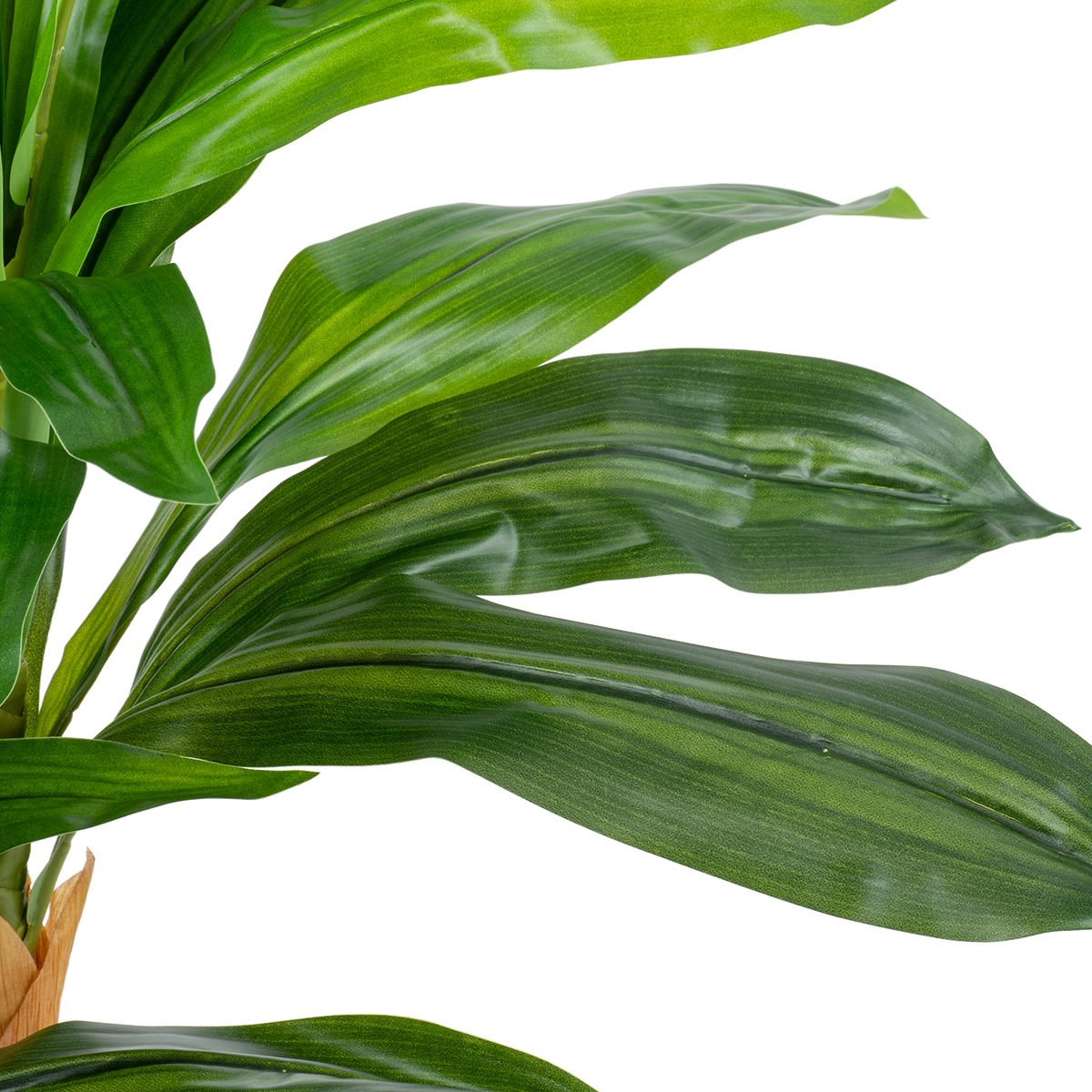GloboStar® Artificial Garden DRACAENA YUCCA 20422 - Τεχνητό Διακοσμητικό Φυτό Δράκαινα Γιούκα Υ120cm 4 GloboStar® Artificial Garden DRACAENA YUCCA 20422 - Τεχνητό Διακοσμητικό Φυτό Δράκαινα Γιούκα Υ120cm - Image 2