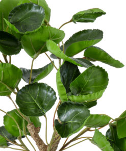 GloboStar® GloboStar® Artificial Garden POLYSCIAS SCUTELLARIA TREE 20424 Τεχνητό Διακοσμητικό Φυτό Πολυσκιά Υ50cm