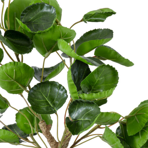 GloboStar® GloboStar® Artificial Garden POLYSCIAS SCUTELLARIA TREE 20424 Τεχνητό Διακοσμητικό Φυτό Πολυσκιά Υ50cm