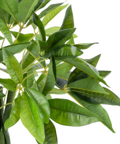 Alternative view of GloboStar® Artificial Garden PACHIRA GLABRA 20427 Τεχνητό Διακοσμητικό Φυτό Παχίρα της Τύχης Υ90cm