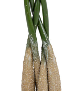 GloboStar® Artificial Garden PACHIRA GLABRA 20427 Τεχνητό Διακοσμητικό Φυτό Παχίρα της Τύχης Υ90cm 10 20427 4