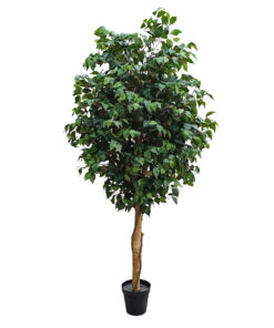GloboStar® GloboStar® Artificial Garden FICUS BENJAMINA TREE 20431 Τεχνητό Διακοσμητικό Φυτό Φίκος Μπενζαμίνη Υ210cm