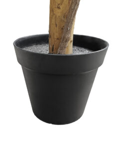 GloboStar® Artificial Garden FICUS BENJAMINA TREE 20431 Τεχνητό Διακοσμητικό Φυτό Φίκος Μπενζαμίνη Υ210cm 10 20431 4