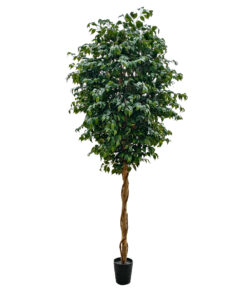 GloboStar® GloboStar® Artificial Garden FICUS BENJAMINA TREE 20432 Τεχνητό Διακοσμητικό Φυτό Φίκος Μπενζαμίνη Υ300cm