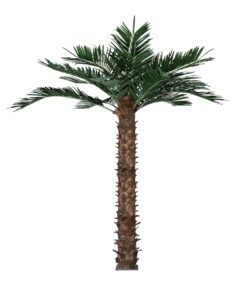 GloboStar® GloboStar® Artificial Garden COCONUT PALM TREE 20436 Τεχνητό Διακοσμητικό Φοινικόδεντρο Κοκοφοίνικας Υ600cm