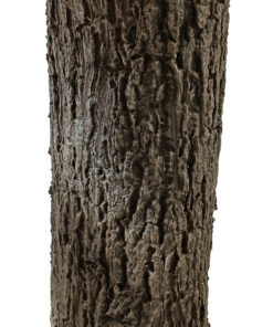 GloboStar® Artificial Garden ACER RUBRUM SYCAMORE TREE 20437 Τεχνητό Διακοσμητικό Δέντρο Κόκκινος Σφένδαμος Υ400cm 10 20437 4