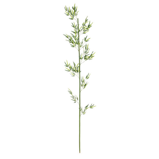 GloboStar® GloboStar® Artificial Garden BAMBOO BRANCH 20440 Τεχνητό Διακοσμητικό Κλαδί Μπαμπού Υ250cm