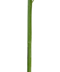 GloboStar® Artificial Garden BAMBOO BRANCH 20440 Τεχνητό Διακοσμητικό Κλαδί Μπαμπού Υ250cm 9 20440 4