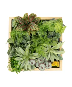 GloboStar® GloboStar® Artificial Garden VARIOUS PLANT 20641 Τεχνητό Διακοσμητικό Φυλλωσιάς σε Ξύλινο Πάνελ - Κάθετος Κήπος Μιξ Μ60 x Π60 x Υ32cm