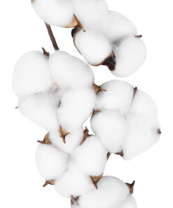 Alternative view of GloboStar® Artificial Garden COTTON BRANCH 20558 Τεχνητό Διακοσμητικό Κλαδί βαμβάκι Υ45cm