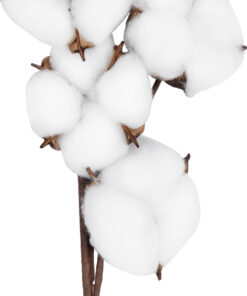 GloboStar® Artificial Garden COTTON BRANCH 20558 Τεχνητό Διακοσμητικό Κλαδί βαμβάκι Υ45cm 9 20558 4