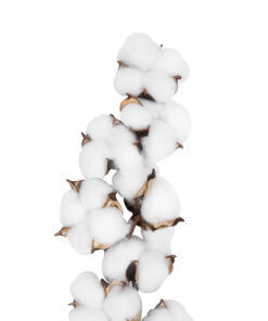 Alternative view of GloboStar® Artificial Garden COTTON BRANCH 20559 Τεχνητό Διακοσμητικό Κλαδί βαμβάκι Y55cm
