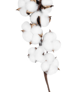 GloboStar® Artificial Garden COTTON BRANCH 20559 Τεχνητό Διακοσμητικό Κλαδί βαμβάκι Y55cm 9 20559 4