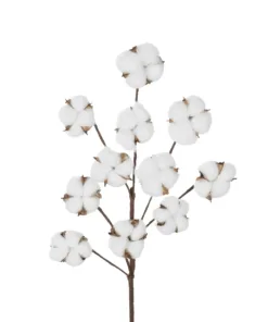 Alternative view of GloboStar® Artificial Garden COTTON BRANCH 20569 Τεχνητό Διακοσμητικό Κλαδί Βαμβάκι Μ30 x Π6 x Υ80 cm