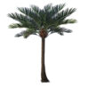 GloboStar® GloboStar® Artificial Garden COCONUT PALM TREE 20594 Τεχνητό Διακοσμητικό Φοινικόδεντρο Κοκοφοίνικας Υ500cm