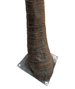 GloboStar® Artificial Garden COCONUT PALM TREE 20594 Τεχνητό Διακοσμητικό Φοινικόδεντρο Κοκοφοίνικας Υ500cm 5 20594 3