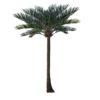 GloboStar® GloboStar® Artificial Garden COCONUT PALM TREE 20595 Τεχνητό Διακοσμητικό Φοινικόδεντρο Κοκοφοίνικας Υ600cm