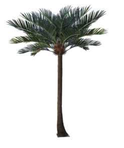 GloboStar® GloboStar® Artificial Garden COCONUT PALM TREE 20595 Τεχνητό Διακοσμητικό Φοινικόδεντρο Κοκοφοίνικας Υ600cm