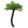 GloboStar® GloboStar® Artificial Garden PHOENIX ROEBELENII PALM TREE 20596 Τεχνητό Διακοσμητικό Φυτό Φοινικόδεντρο Ρομπελίνι Εξωτερικού Χώρου IP68 UV Certified Protection Υ500cm