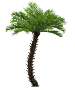 GloboStar® GloboStar® Artificial Garden PHOENIX ROEBELENII PALM TREE 20596 Τεχνητό Διακοσμητικό Φυτό Φοινικόδεντρο Ρομπελίνι Εξωτερικού Χώρου IP68 UV Certified Protection Υ500cm