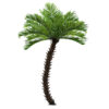 GloboStar® Artificial Garden PHOENIX ROEBELENII PALM TREE 20597 Τεχνητό Διακοσμητικό Φυτό Φοινικόδεντρο Ρομπελίνι Εξωτερικού Χώρου IP68 UV Certified Protection Υ600cm 1 GloboStar® GloboStar® Artificial Garden PHOENIX ROEBELENII PALM TREE 20597 Τεχνητό Διακοσμητικό Φυτό Φοινικόδεντρο Ρομπελίνι Εξωτερικού Χώρου IP68 UV Certified Protection Υ600cm