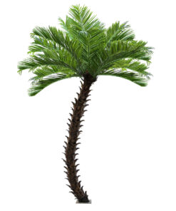 GloboStar® GloboStar® Artificial Garden PHOENIX ROEBELENII PALM TREE 20597 Τεχνητό Διακοσμητικό Φυτό Φοινικόδεντρο Ρομπελίνι Εξωτερικού Χώρου IP68 UV Certified Protection Υ600cm